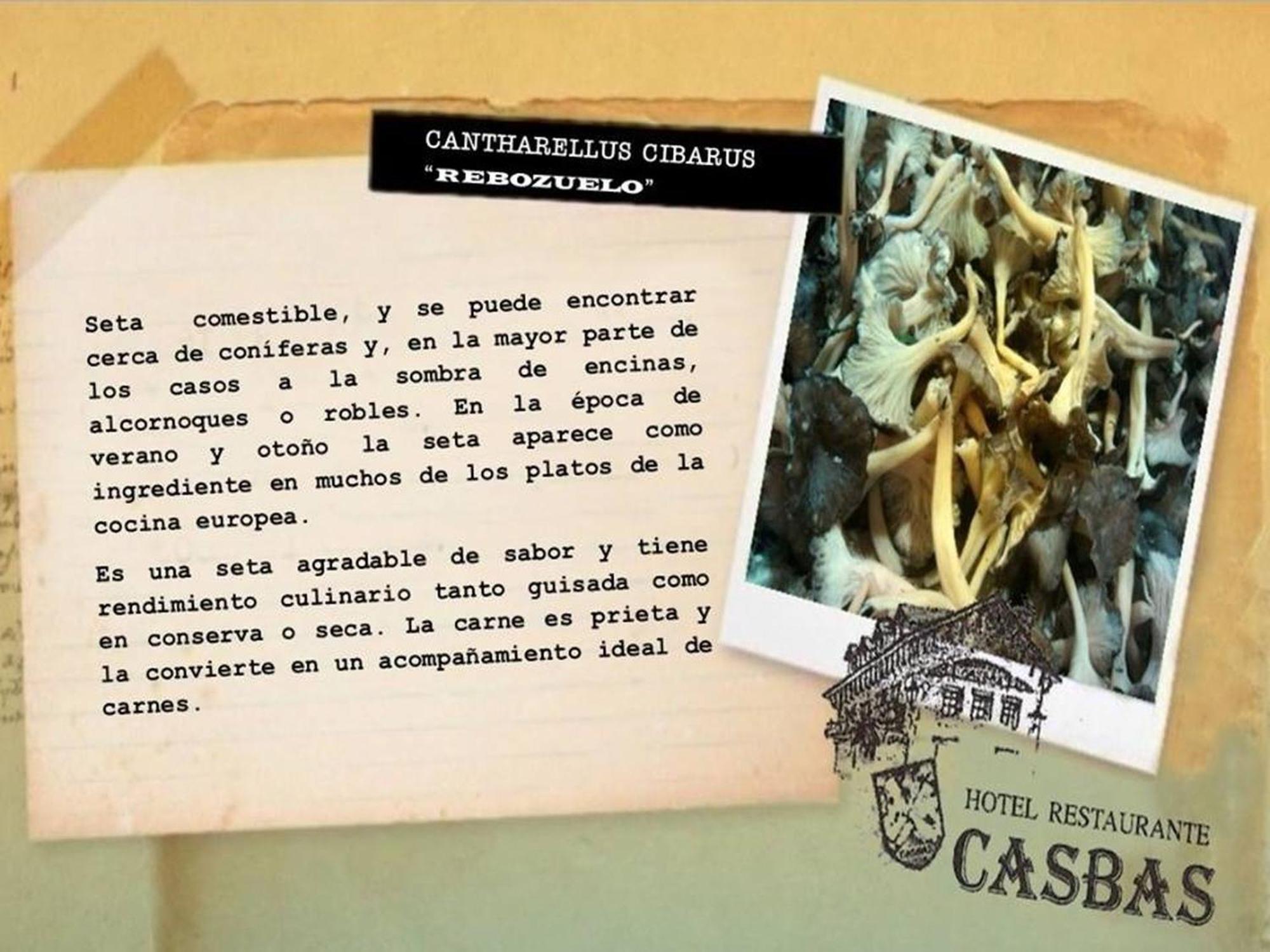 Hotel Casbas Senege Bagian luar foto